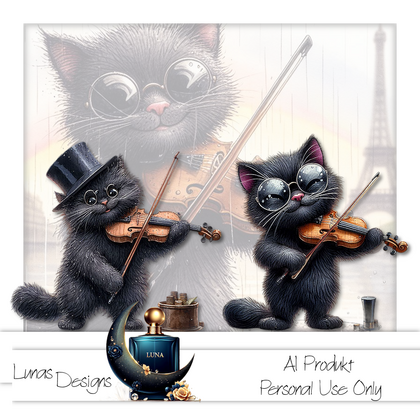 Musik Katzen